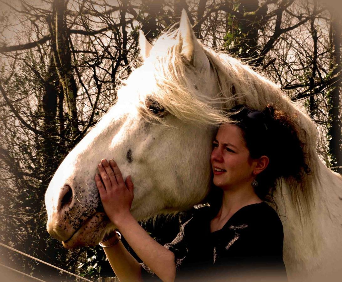 Une Roulotte Et Des Chevaux Trefflean Экстерьер фото